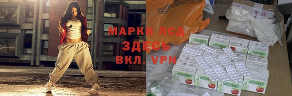сатива Аркадак