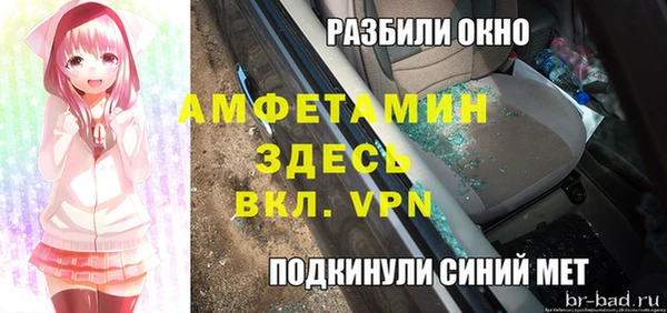 сатива Аркадак