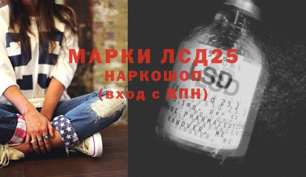 сатива Аркадак