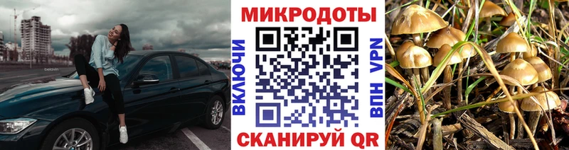 Псилоцибиновые грибы ЛСД Георгиевск